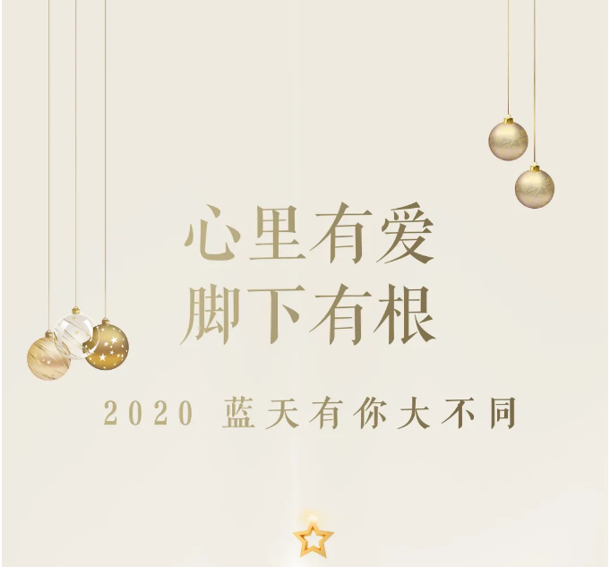 2020 · 东旭环亚集团 | 环亚集团有你，大不同