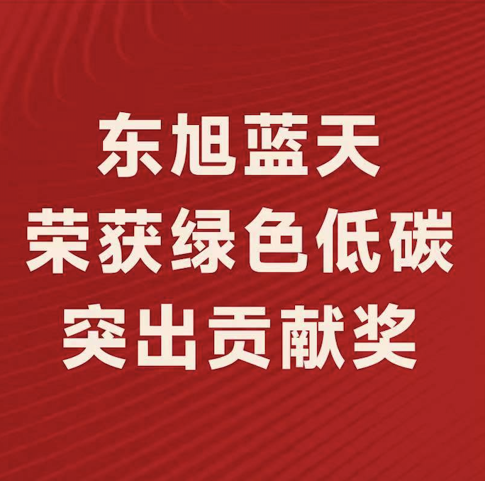 喜报〡东旭环亚集团斩获“2022年度绿色低碳突出贡献奖”